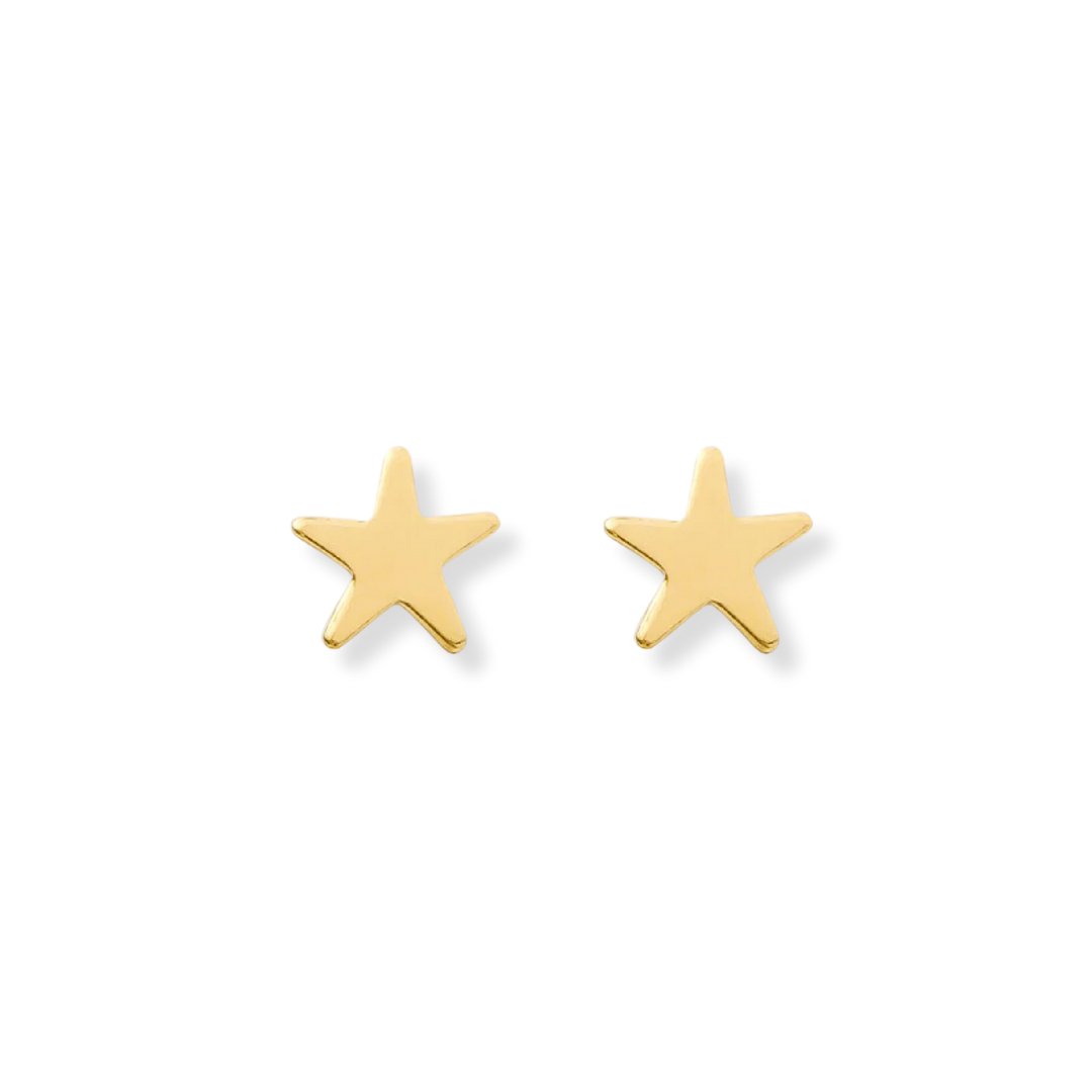 Star Stud Earrings - Le Serey