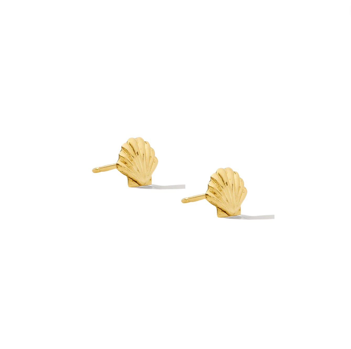 Seashell Stud Earrings - Le Serey