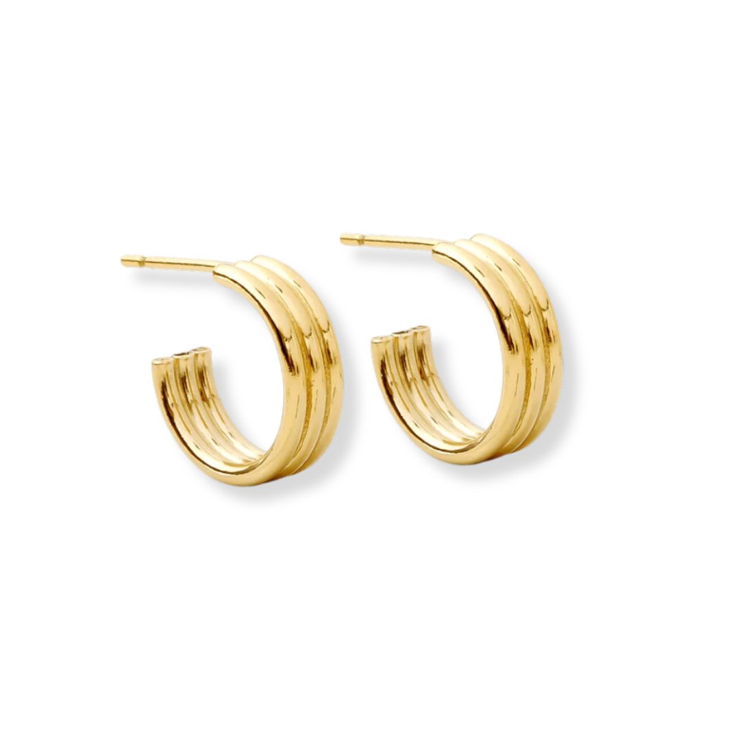 Small Thick Gold Hoop Earrings – Le Serey